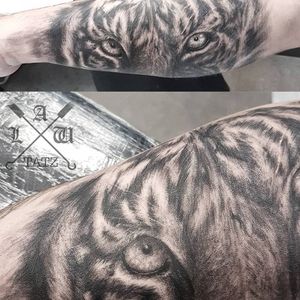 Black and grey tiger by Liam 
