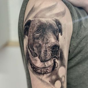 Dog tattoo by Nico Navarro #NicoNavarro #dogtattoos #dogtattoo #dog #animal #petportrait #pet #love #family