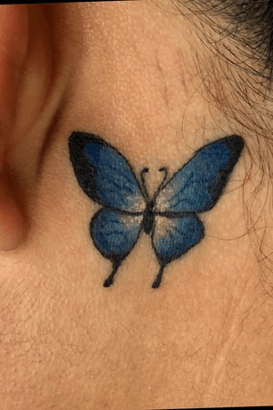 Butterfly! #butterfly #color #blue #small 