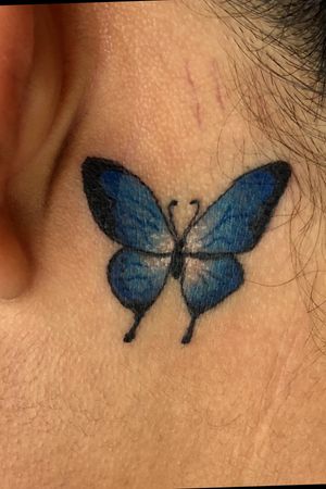 Butterfly! #butterfly #color #blue #small 