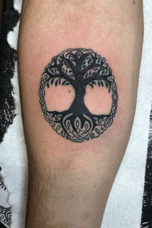 Tattoo by Twilight tattoo shop & Body Piercing