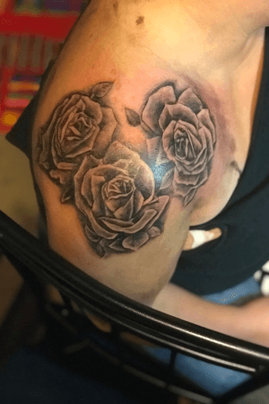 First session of these awesome roses!