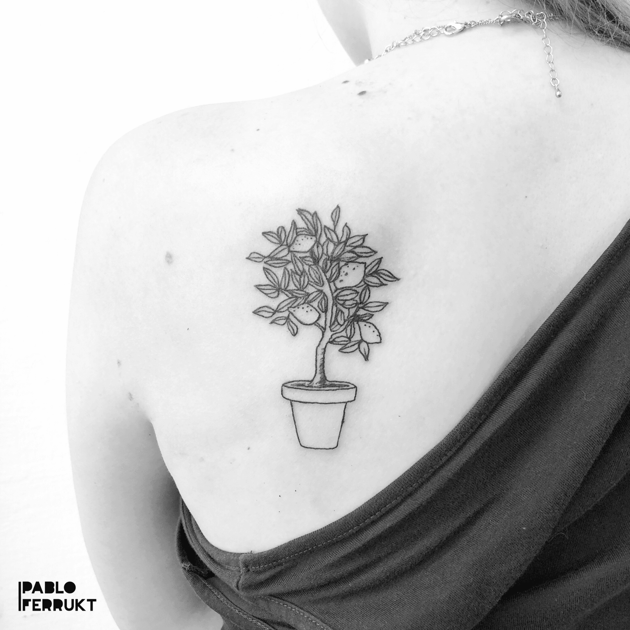 Lemon tree in tattoo style image light little Vector Image