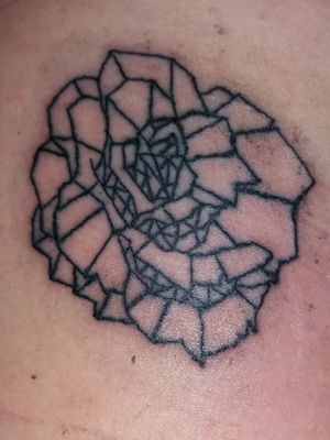 So this one is my very first tattoo ever and it was designed by one of my best friends and its a chrystal rose. i definetly should have it redone but this one represents my and my friends past. we both "lost" our moms when we were very young either to illness or personal issues and the rose is a symbol of our personality, nice and pretty on first look but hard and sharp up close. i know this one is a bit cheesy but i wanted something to remember her by after i moved away and we wouldnt see eachother as much.