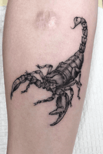 Single needle scorpion