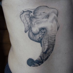 Elephant tattoo - Baan Khagee Tattoo Chiang Mai    #elephant #btattooing #blxckink #Tattoodo #inkstinctsubmission #blackwork #blackworkers #blackandgreytattoo #nature #ChiangMai #tattoochiangmai #tattooartist 
