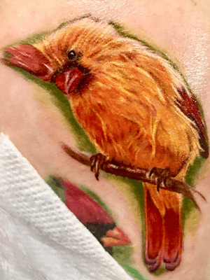 Tiny bird on a leg, still need a few more sessions ,i really enjoy this project