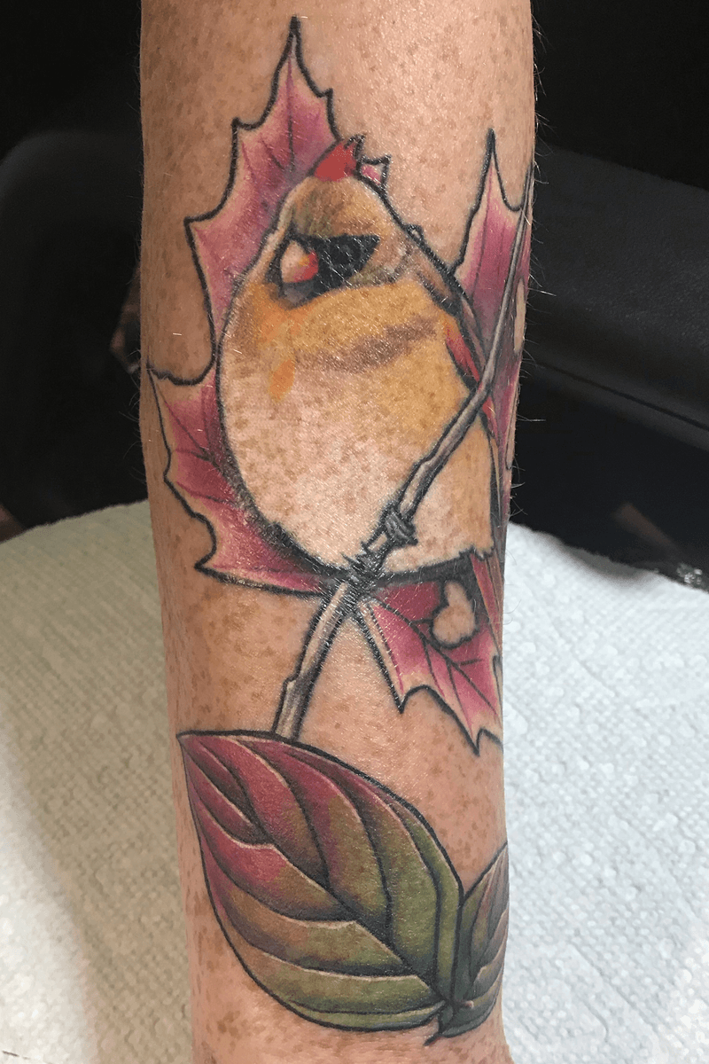 Tattoo uploaded by BioGraphix Tattoo Studio • Female cardinal and maple