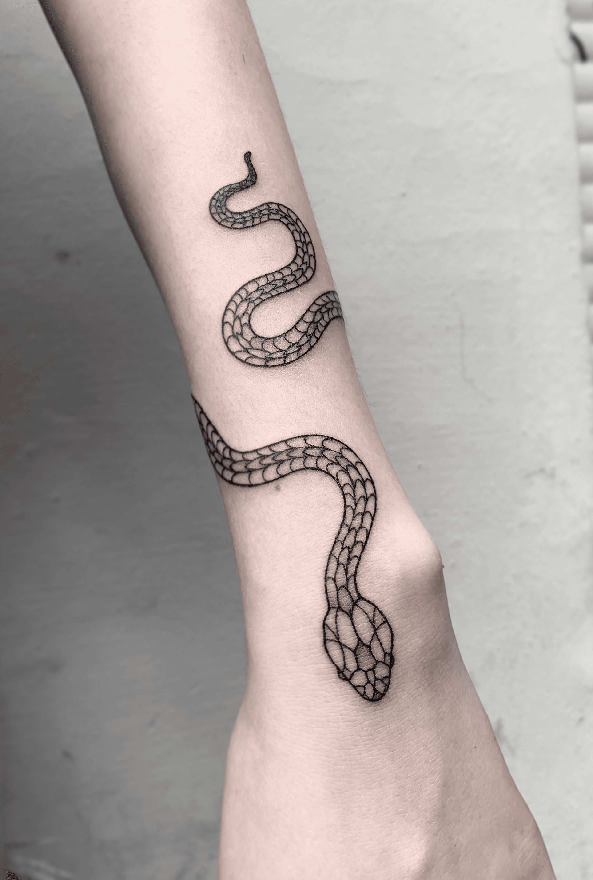 Tattoo uploaded by YanikoInk  snake tattoo kievtattoo berlintattoo  snaketattoo  Tattoodo