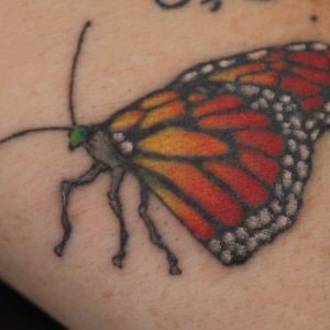 Butterfly by Chapi Walker
