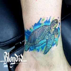 Cover up! Watercolor turtle, design by me 🐢