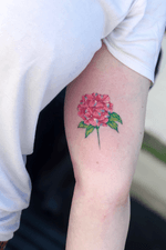 Hydrangea 🌸 #tattoo #tattoos #tatts #uk #nottingham #colourfultattoos #watercolourtattoo #flowertattoo #botanicaltattoo #flowers #colour #uktattoos #nottinghamtattoos #inked #ink #colours #floral #floraltattoo #tattooideas #tattoodesign #details #tattoodetails #greenpower #green 