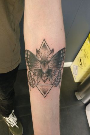 #butterfly #triangle #triangletattoo #dot #geometric  #insect 