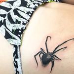 Spider on the ribs. By Fred