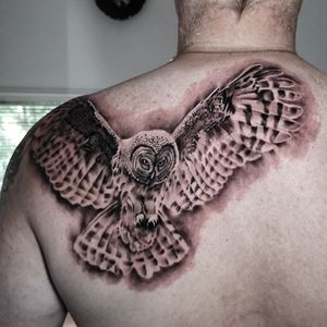 Owl tattoo, 5h 