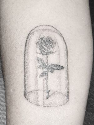 Rose tattoo close up look#details #singleneedle 