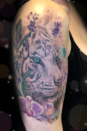 Watercolor white tiger and orchids 