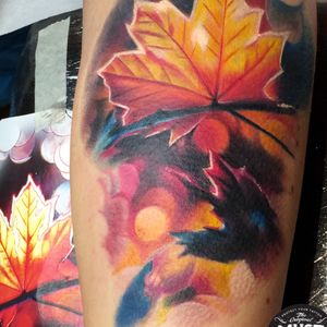Maple leaves, full color realism