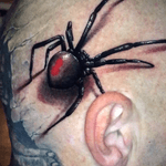 #spinne #spider #3d #realism #realistic #realistisch #head #tattoo #headtattoo #red #animal #portrait #marco #pik #ass #marcopikass #pikasstattoo #facetattoo #face #witwe #germany #deutschland 