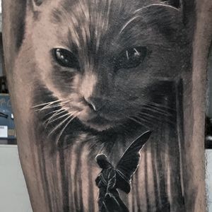 Beloved cat portrait, healed (guarito)