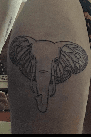 Elephant 1st sitting