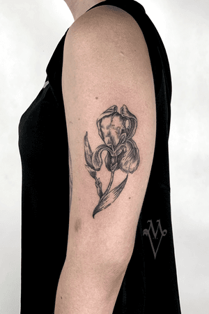 Iris tattoo, shoulder tattoo
