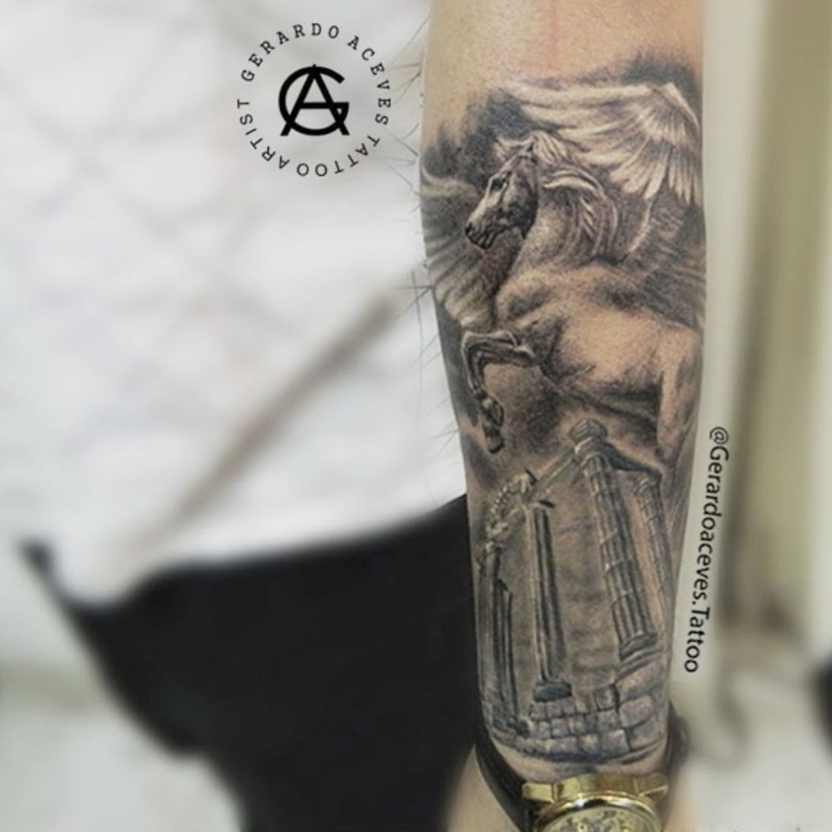 Tattoo uploaded by inkpire tattoo studio • Pegaso blackandgray 