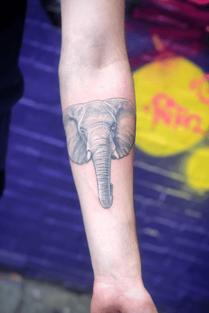 This client came walking in with an elephant I did last year. We did a quick checkup (I like my clients te be taken so good care of their tattoos). This one 90% healed, some minor detail correction (you know skin ages). #realistictattoo #realism #realistic #blackandgreytattoo #bng #bnginkedsociety #wallsandskin #elephant #elephanttattoo #rotterdamtattoo #amsterdamtattoo #wildlifetattoo #boywithtattoos #tatuagem #tatuaje #inkedup