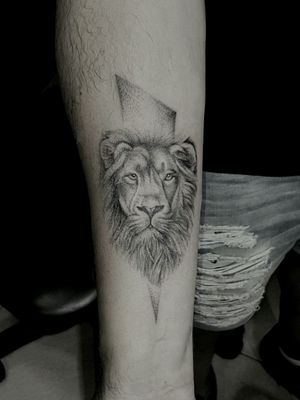 Lion  black and grey