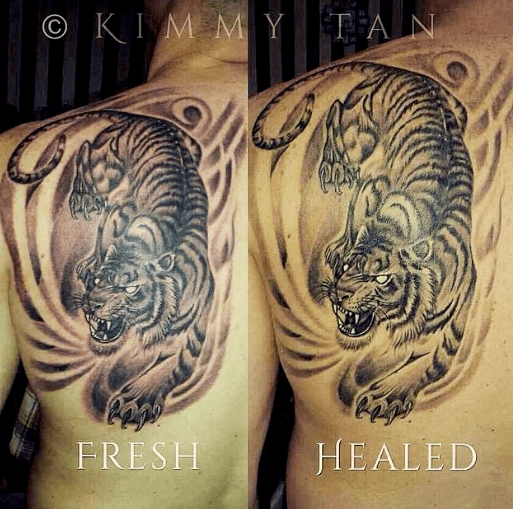 Fresh vs healed tattoo  Wildlife tattoo Black and grey tattoos Tattoos