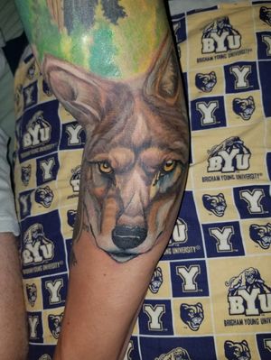 Wolf. #wolftattoo #wolf #colortattoo #color #animaltattoo #animals 