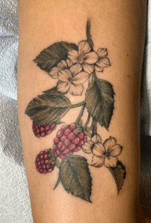 Illustrative color raspberry bush 