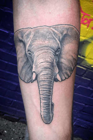 This client came walking in with an elephant I did last year. We did a quick checkup (I like my clients te be taken so good care of their tattoos). This one 90% healed, some minor detail correction (you know skin ages). #realistictattoo #realism #realistic #blackandgreytattoo #bng #bnginkedsociety #wallsandskin #elephant #elephanttattoo #rotterdamtattoo #amsterdamtattoo #wildlifetattoo #boywithtattoos #tatuagem #tatuaje #inkedup