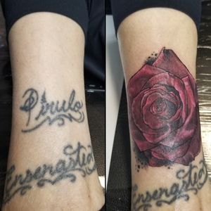 Rose (cover up)