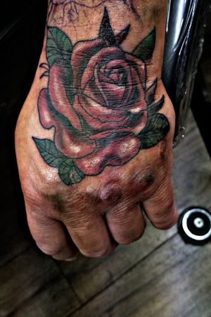 Red Rose on a hand