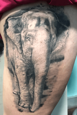 Healed elephant piece.  #healedtattoo #elephant #elephanttattoo #blackandgrey #realism 