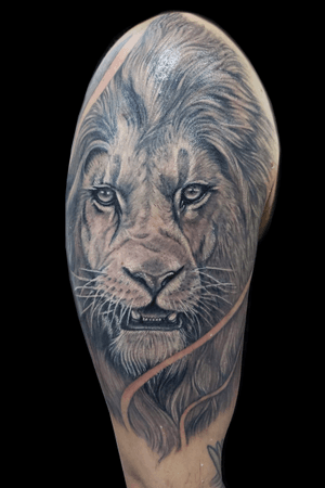 Leão em andamento ... . . . . . . . #inprogress ##lion #lionhead #lionking #lions #lioness #tattoo #tattoos #tattooartist #tattooed #tattooart #ink #inked #tattooing #tattooist #lifestyletattoo #tattoodo #instagram #vilamatilde #ilhabela #atibaia #sp #zltattoo