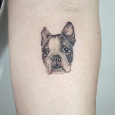 micro puppy tattoo all with singleneedle #puppy #puppytattoo #dog #dogtattoo #animaltattoo #microtattoo #nyctattoo #nyc #smalltattoo #minitattoo#bostonterrier #cutetattoo
