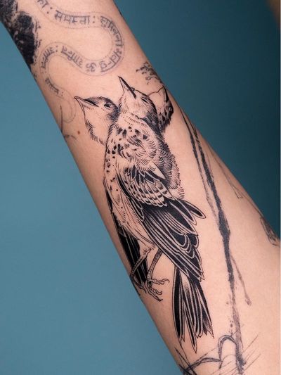Bird tattoo by Oozy #Oozy #birdtattoos #birdtattoo #bird #feathers #wings #flying #tattooidea #illustrative #linework #fineline