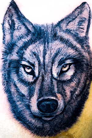 #wolftattoo #wolf