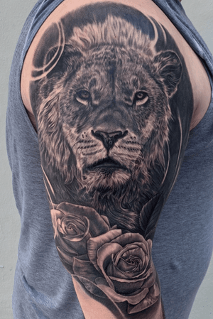 Fresh lion sleeve