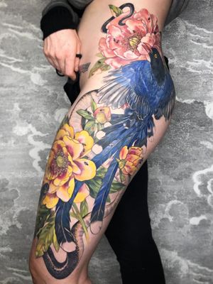 Bird tattoo by Stephanie Brown #StephanieBrown #birdtattoos #birdtattoo #bird #feathers #wings #flying #tattooidea #illustrative #flower #floral #snake #reptile #coverup #color #painterly #paint