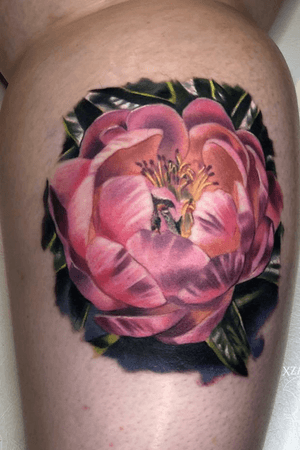 Tattoo by Delville Tattoo Studio