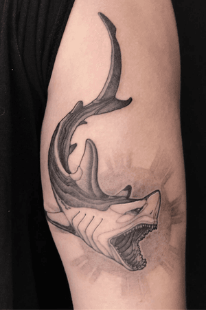 Shark Night with subtle sun motif behind. I suppose it’s a mixed breed, inspired by the elegant of a black tip, ferocity of great white & unique pattern of whale shark.