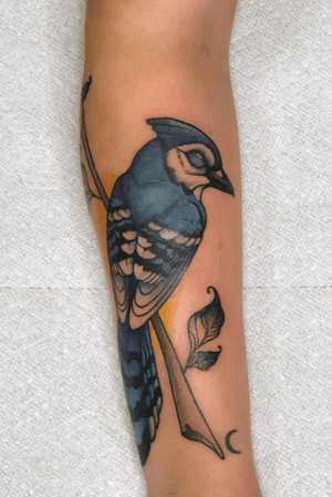  Blue Jay color tattoo 