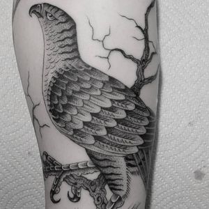 Bird tattoo by Aaron Dor Dixon #AaronDorDixon #birdtattoos #birdtattoo #bird #feathers #wings #flying #tattooidea #illustrative #linework #dotwork #tree #branch