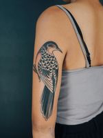 Bird tattoo by Antoine Larrey #AntoineLarrey #birdtattoos #birdtattoo #bird #feathers #wings #flying #tattooidea #illustrative