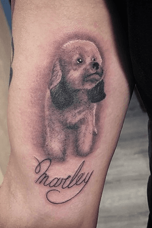 Black and grwy tattoo doggy