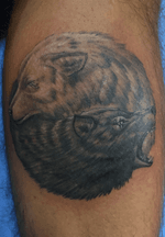 Trabajo en blanco  y negro #tattoo #blackandgrey #wolf #ink #inked #tatuajerealista #animales