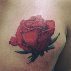 Colored rose